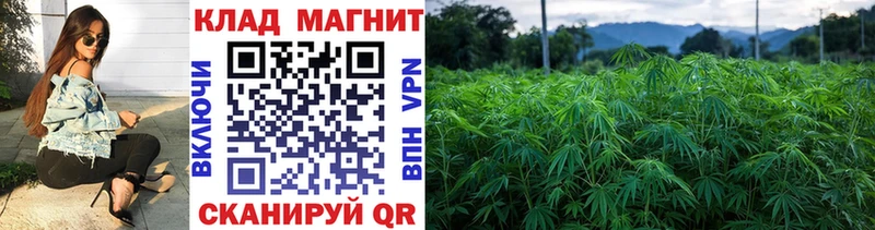 Купить закладку Нефтекамск OMG ссылки Конопля Мефедрон Гашиш