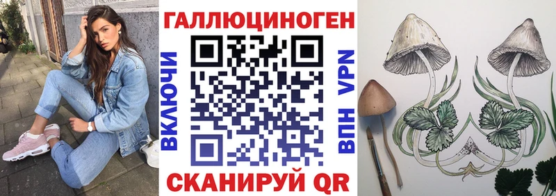 Псилоцибиновые грибы Psilocybine cubensis  сколько стоит  Нефтекамск 